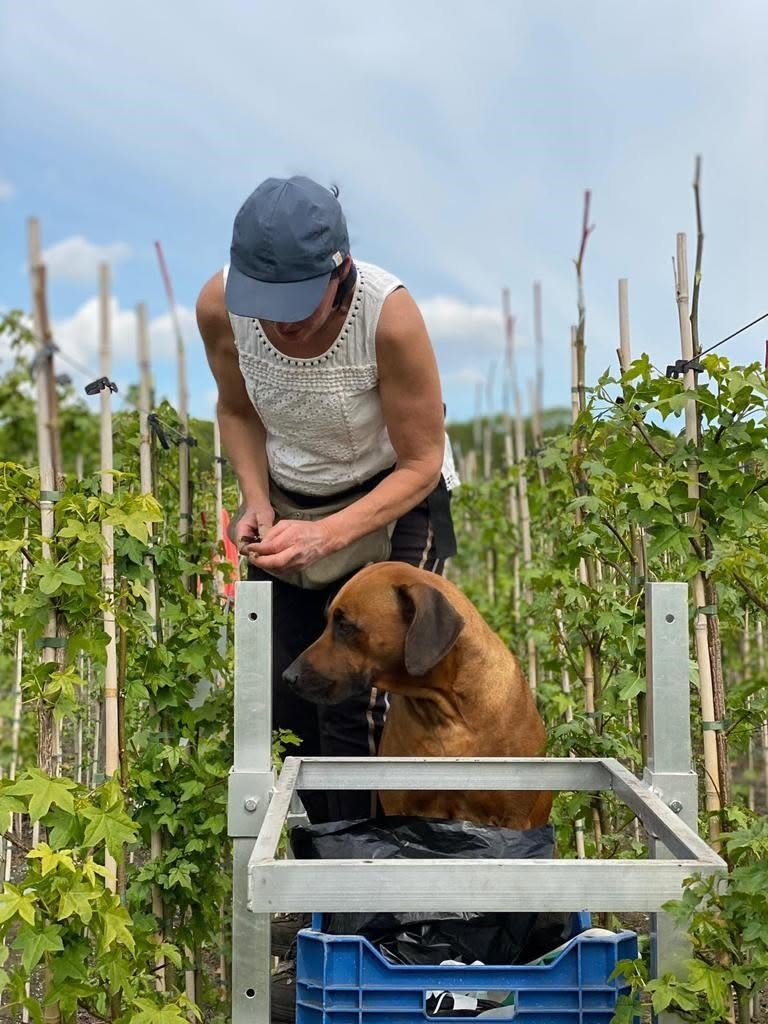 Team member at work in the nursery